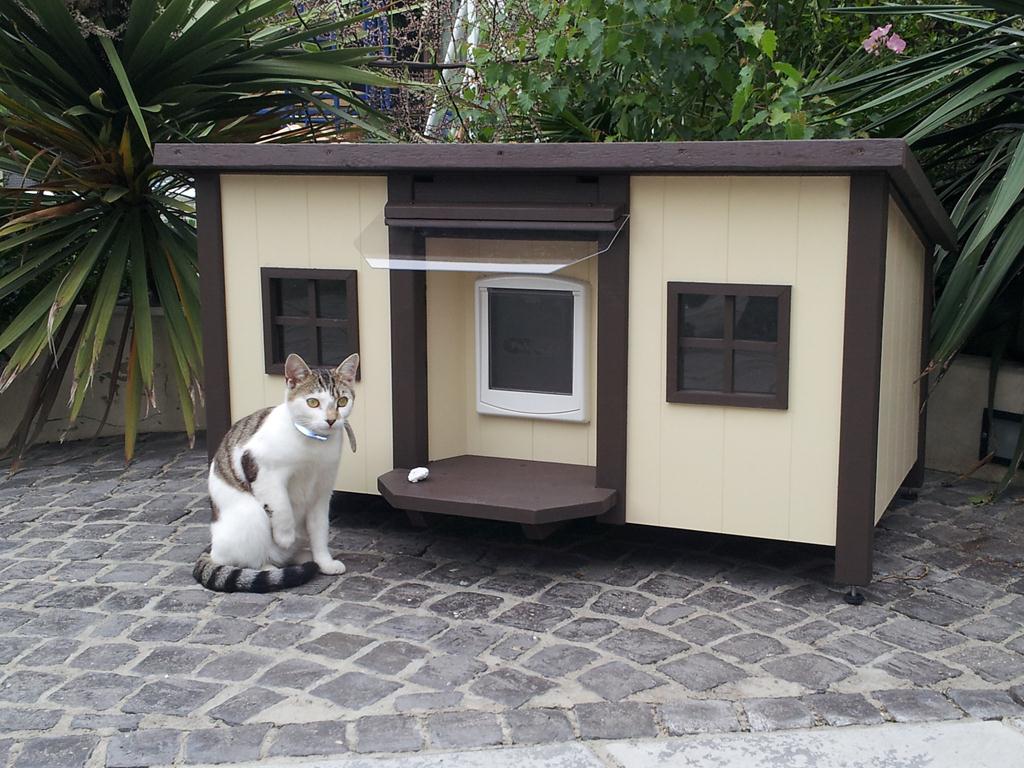 Cathouses Cat Catios Luxury Pet Homes, Cat Igloo Outdoor Uk